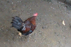 DSC00025