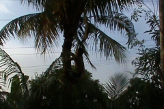 DSC00087