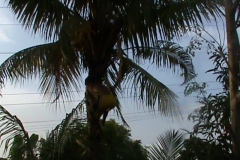 DSC00088