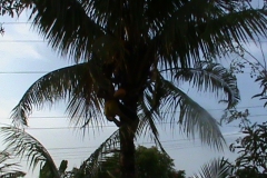 DSC00091