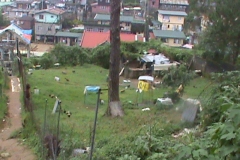 DSC00145