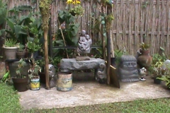 DSC00153