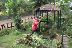 DSC00175