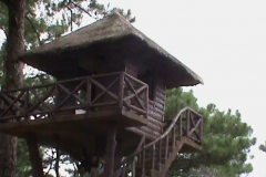 DSC00876