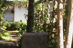 DSC00423