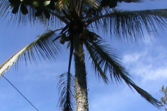 DSC00428