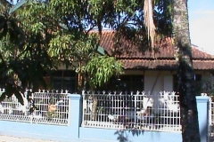 DSC00429