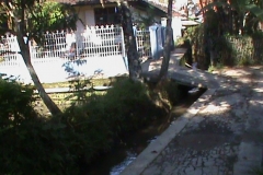 DSC00430