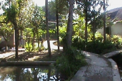 DSC00433