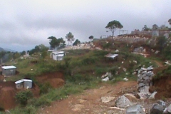 DSC00470