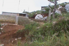 DSC00480