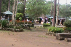 DSC00496