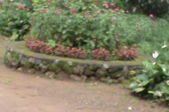 DSC00499