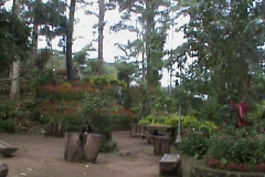 DSC00500