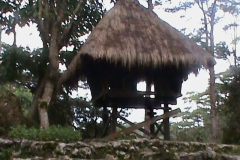 DSC00504