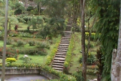 DSC00505