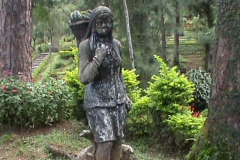 DSC00506
