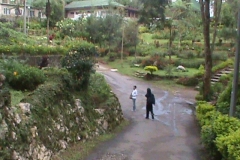 DSC00508