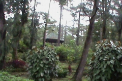 DSC00510