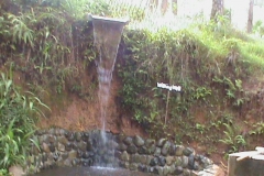 DSC00516