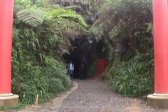 DSC00520