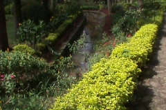DSC00524