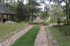DSC00525