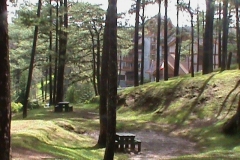 DSC00533