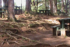 DSC00535
