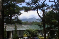 DSC00538
