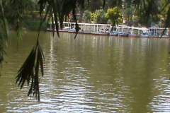 DSC00560
