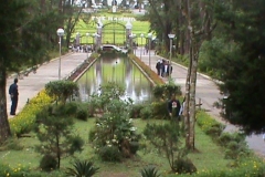 DSC00589
