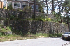 DSC00595