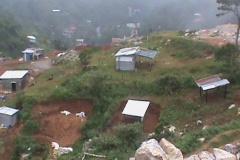 DSC00598