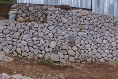 DSC00600