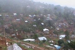 DSC00602