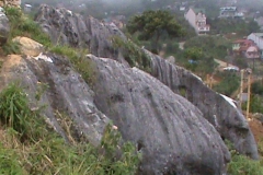 DSC00607