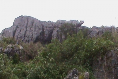 DSC00611