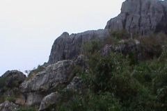 DSC00612