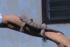 DSC00836